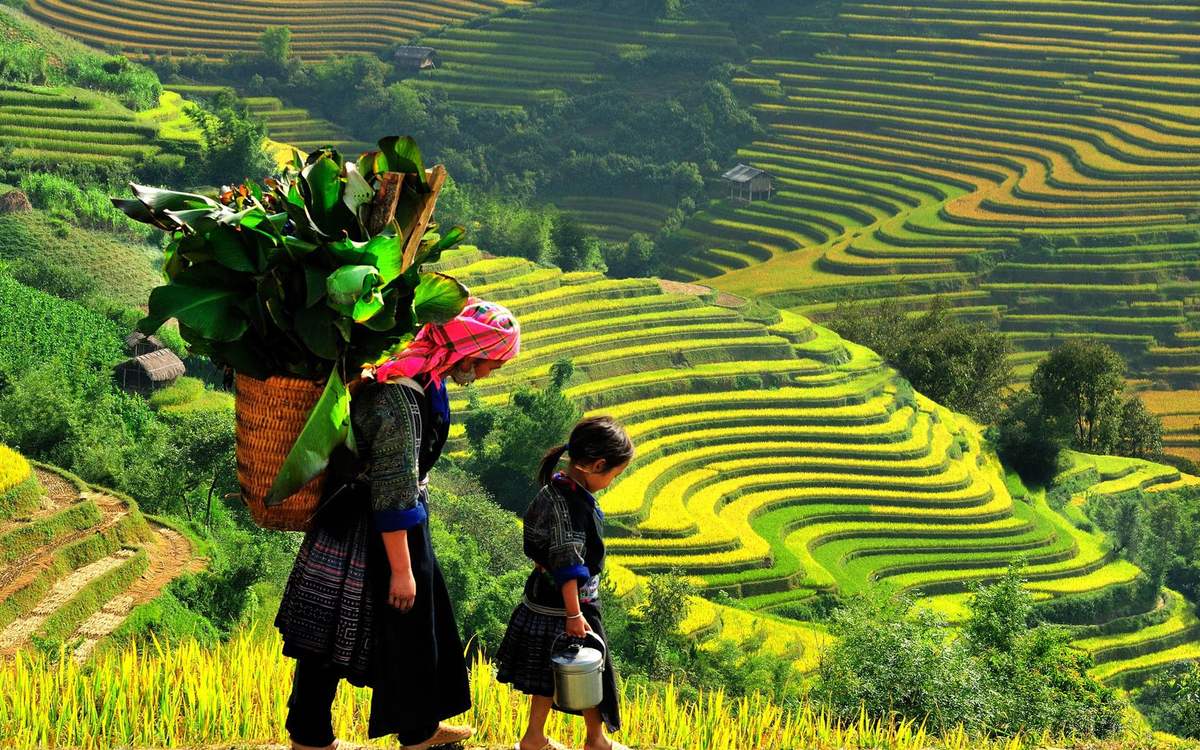 Local farmers working in the fields