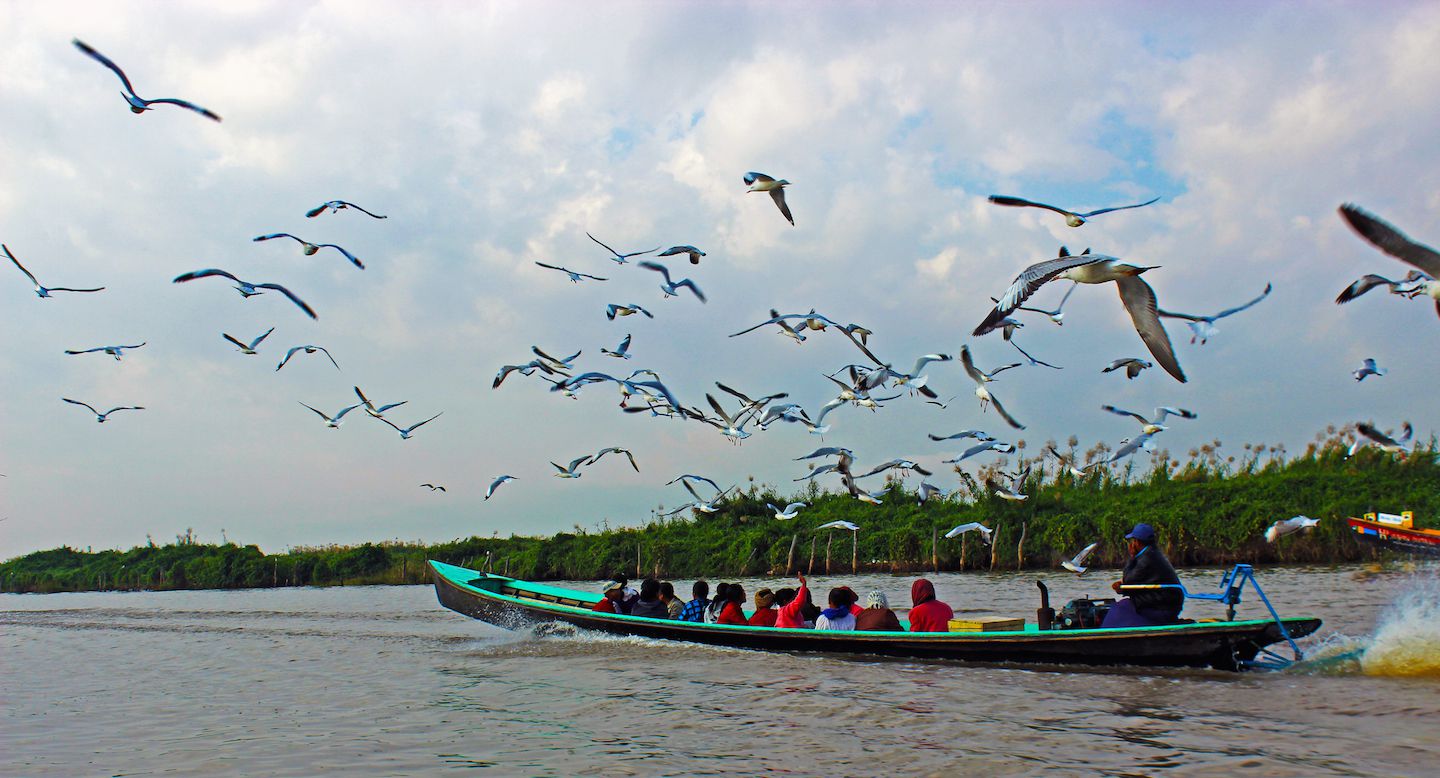 Birdwatching on Inle Lake