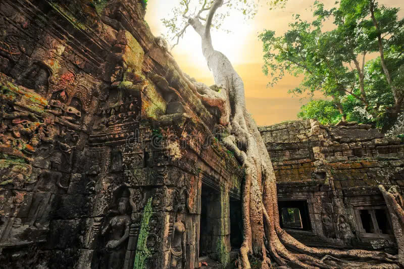 Sunset in Ta Prohm