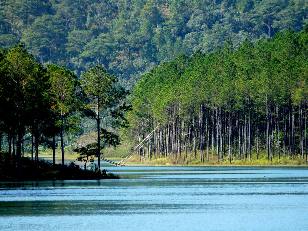 Tuyen Lam Lake