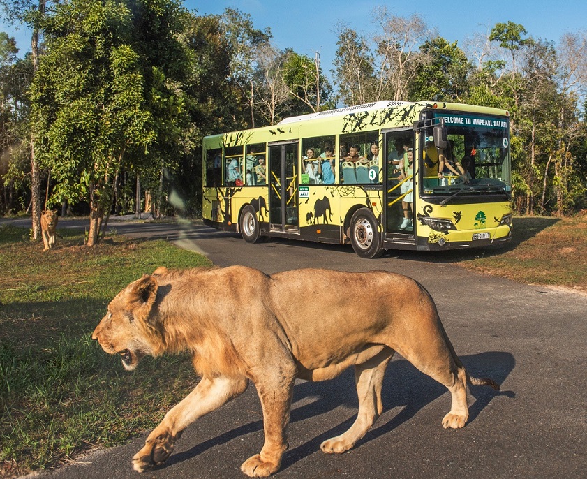 Vinpearl Safari Phu Quoc offers an authentic safari experience