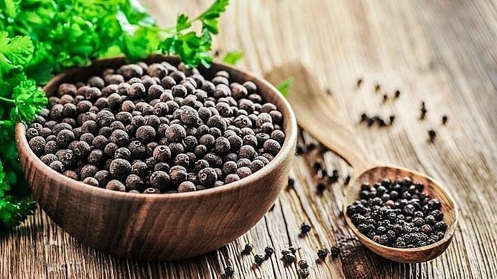 With its aromatic and pungent taste, Phu Quoc pepper is among the most popular things to buy in Phu Quoc (Source: Collected)