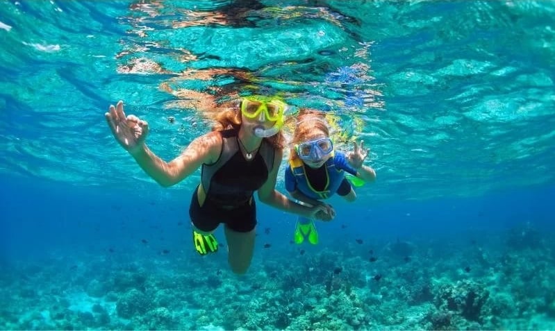 You should try snorkeling in Doi Moi Island once (Source: Collected)