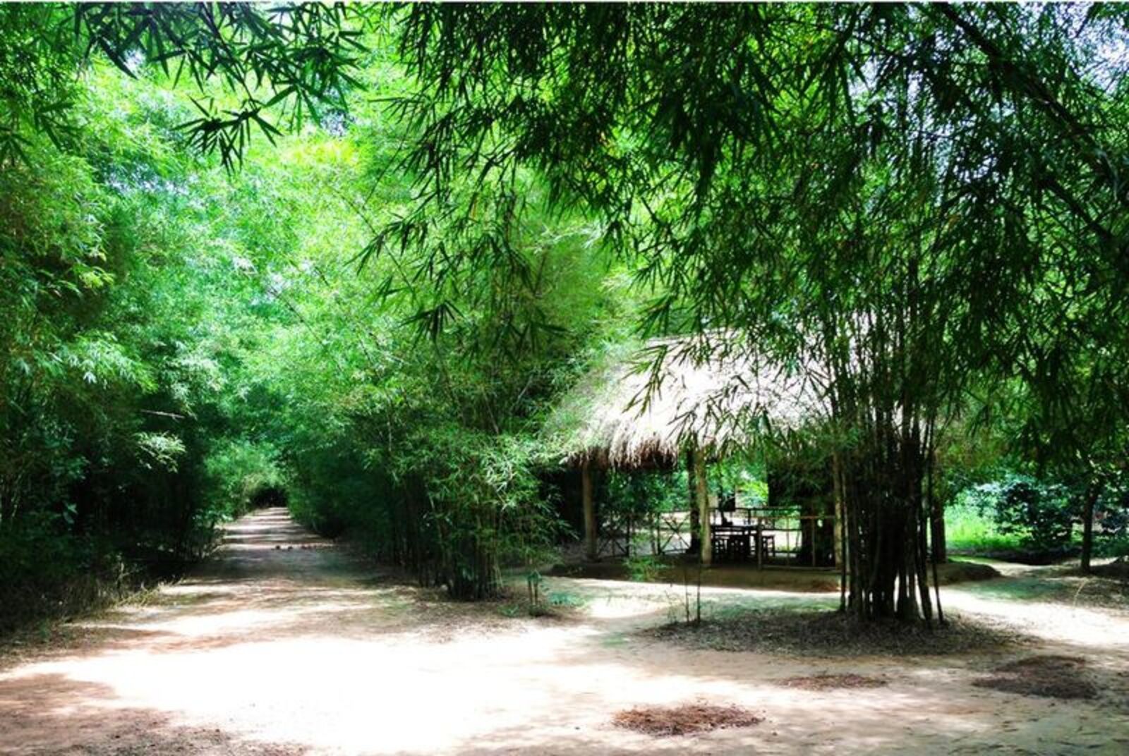 Cu Chi Tunnels