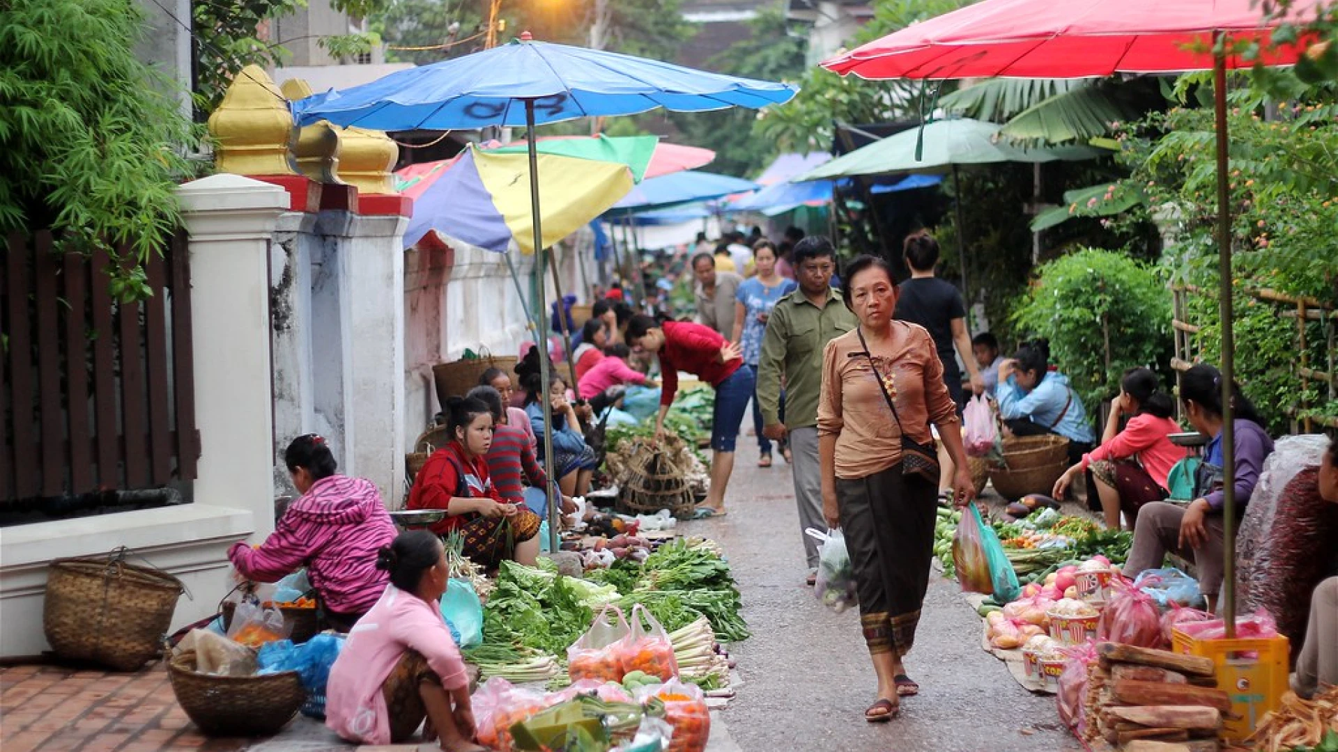 Explore the Morning Market