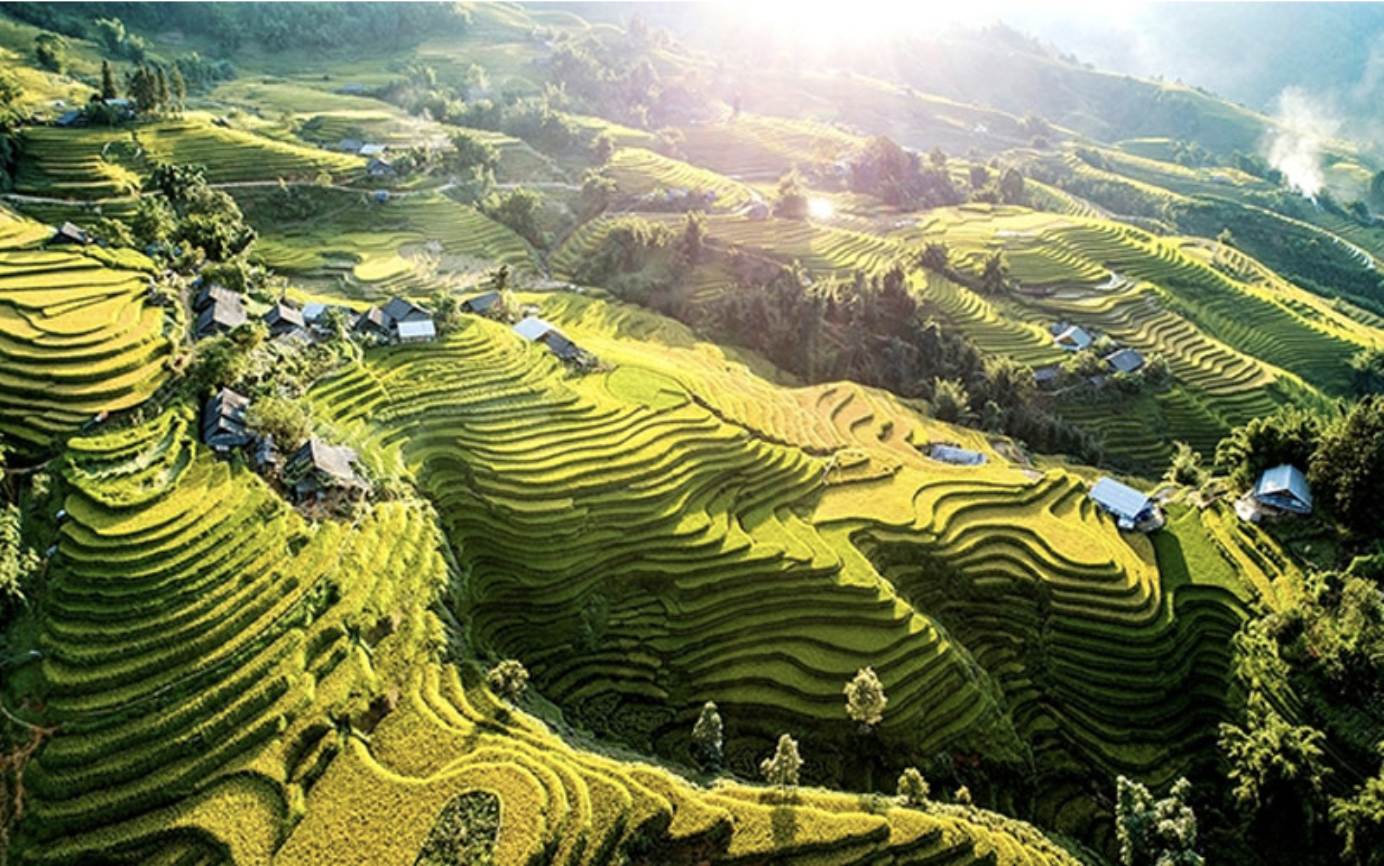 Terraced fields in Sapa Lao Cai