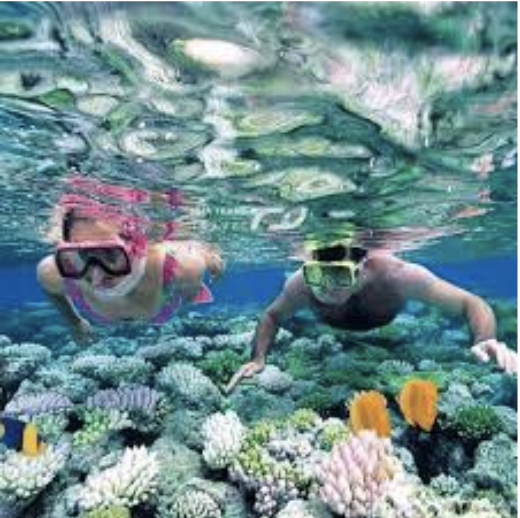 Tourists are participating in scuba diving activities