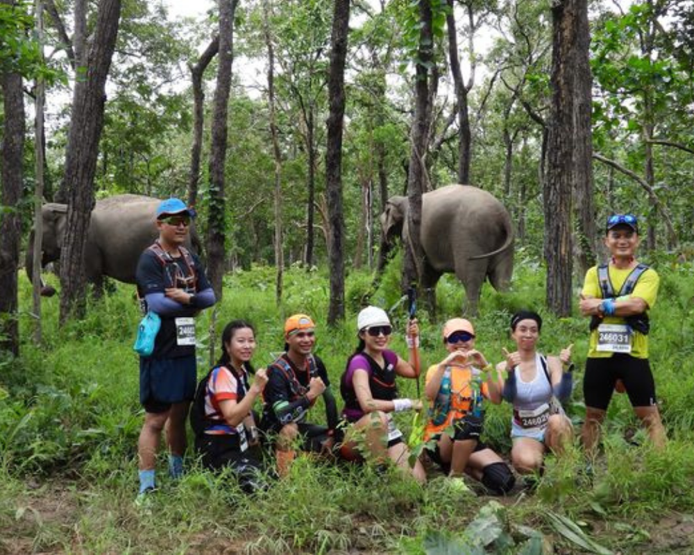 Yok Don National Park