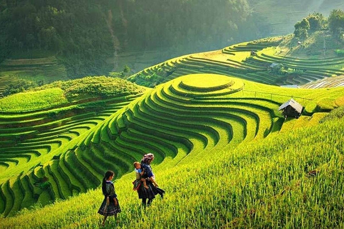 Sapa