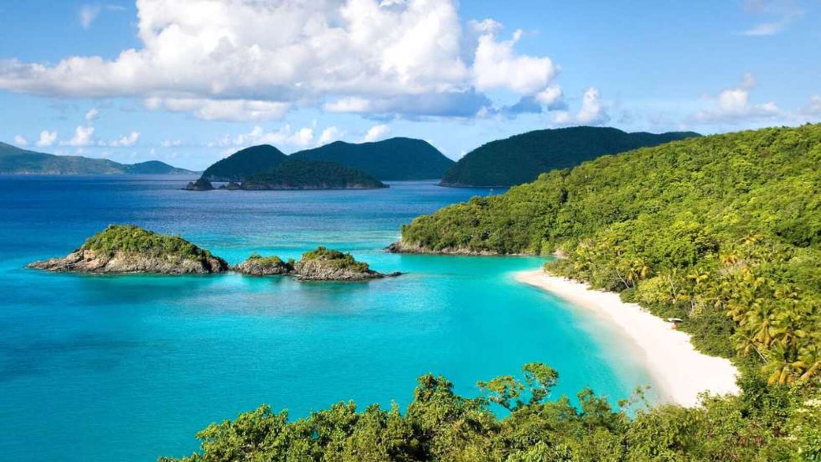 Vietnamese Bays