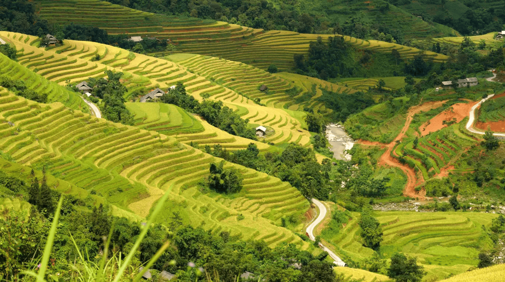 Hoang Su Phi is a land of rolling hills carved into thousands of stepped fields